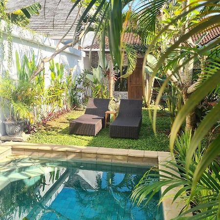 チャングー The Jungle Houseホステル エクステリア 写真
