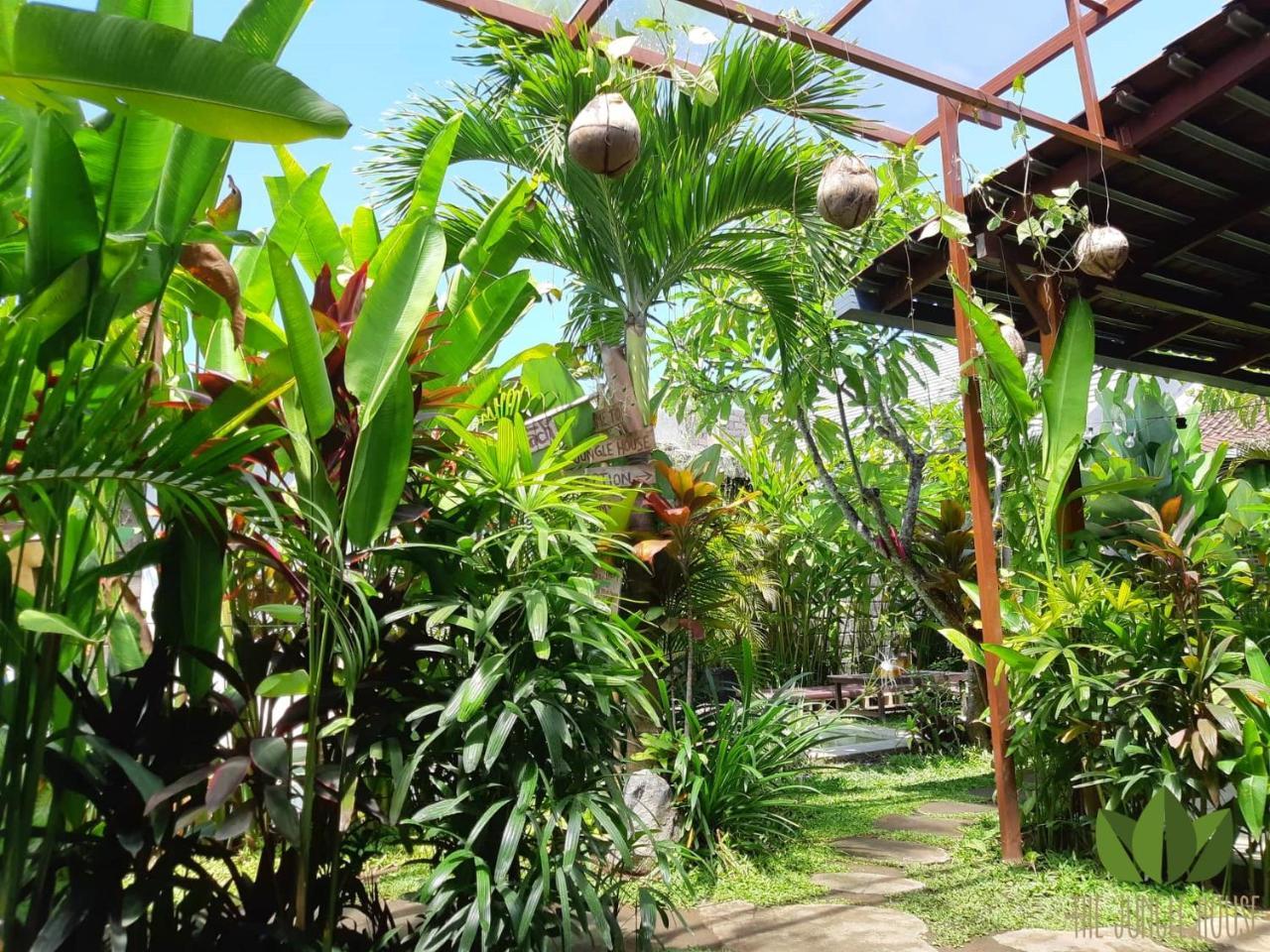 チャングー The Jungle Houseホステル エクステリア 写真